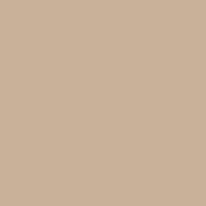 Columbia Men Beige Omni-Shade Landroamer Scout Pant - Image 3