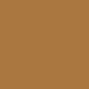 Columbia Men Brown Black Mesa Woven Pant (Sun Protection) - Image 3