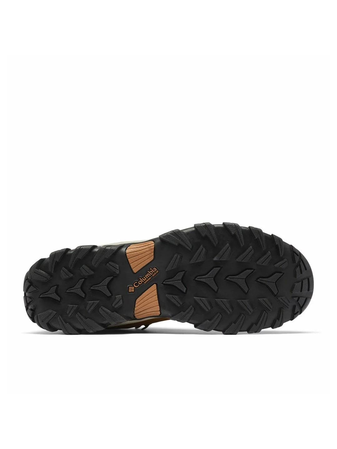 Columbia Men Brown NEWTON RIDGE PLUS II WATERPROOF - Image 7