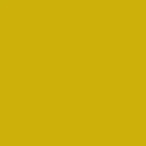 Columbia Men Yellow Omni-Shield Trailborne Windbreaker - Image 4