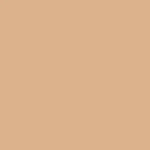 Columbia Men Brown Black Mesa Woven Pant II (Sun Protection) - Image 3