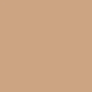 Columbia Men Brown Sharpe Canyon Pant - Image 3