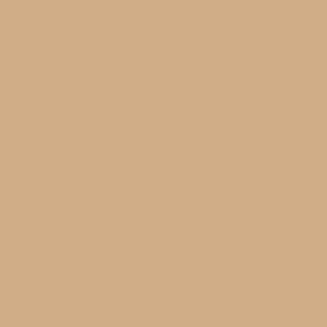Columbia Women Brown Firwood Camp II Pant (Sun Protection) - Image 3