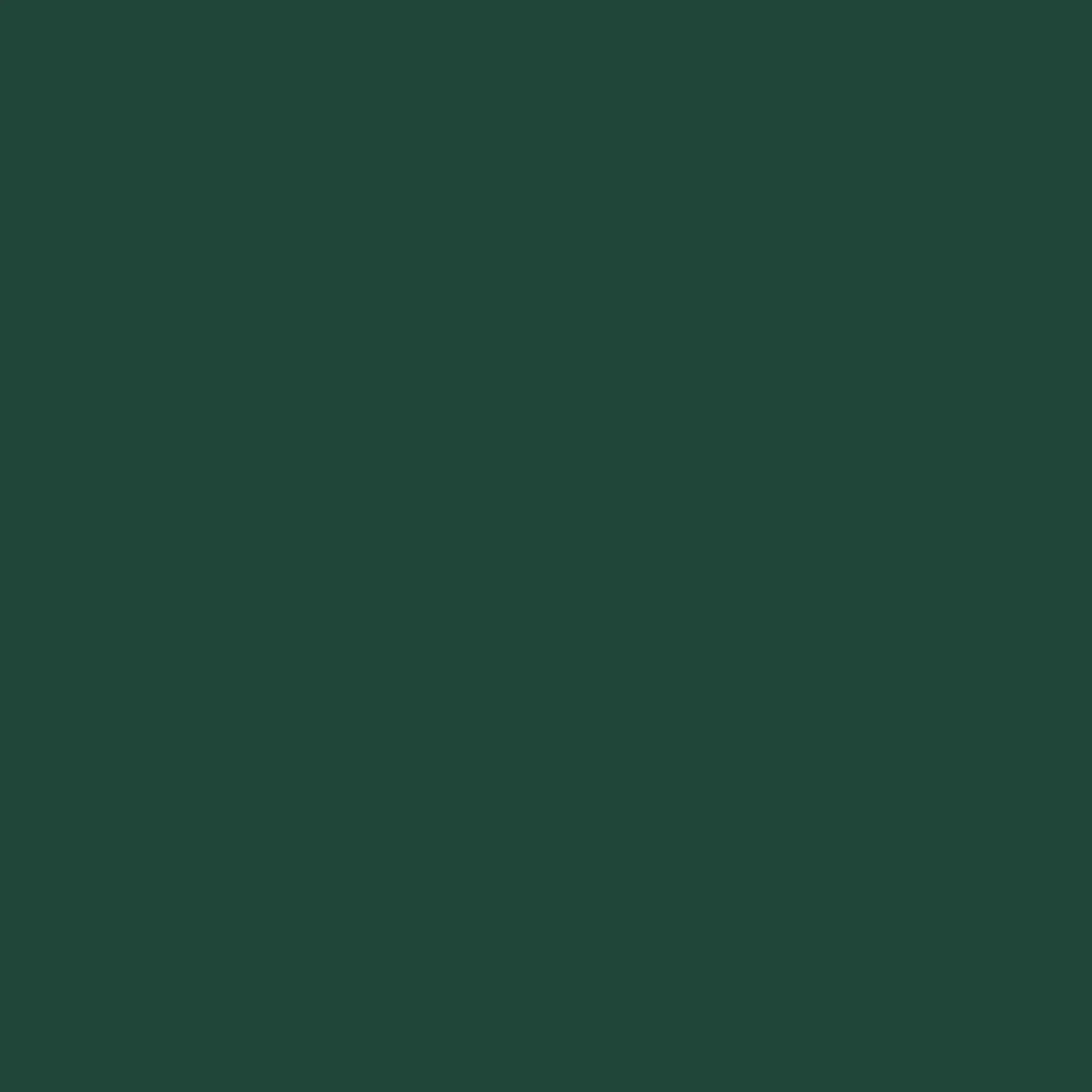 Columbia Women Green Aldermore Fleece Cargo Pant - Image 3