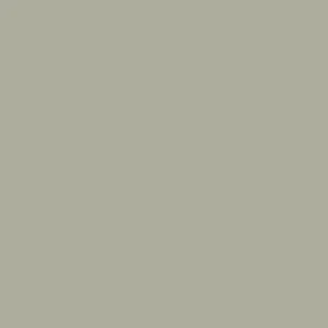 Columbia Women Green Silver Ridge 3.0 LS (Sun Protection) - Image 3