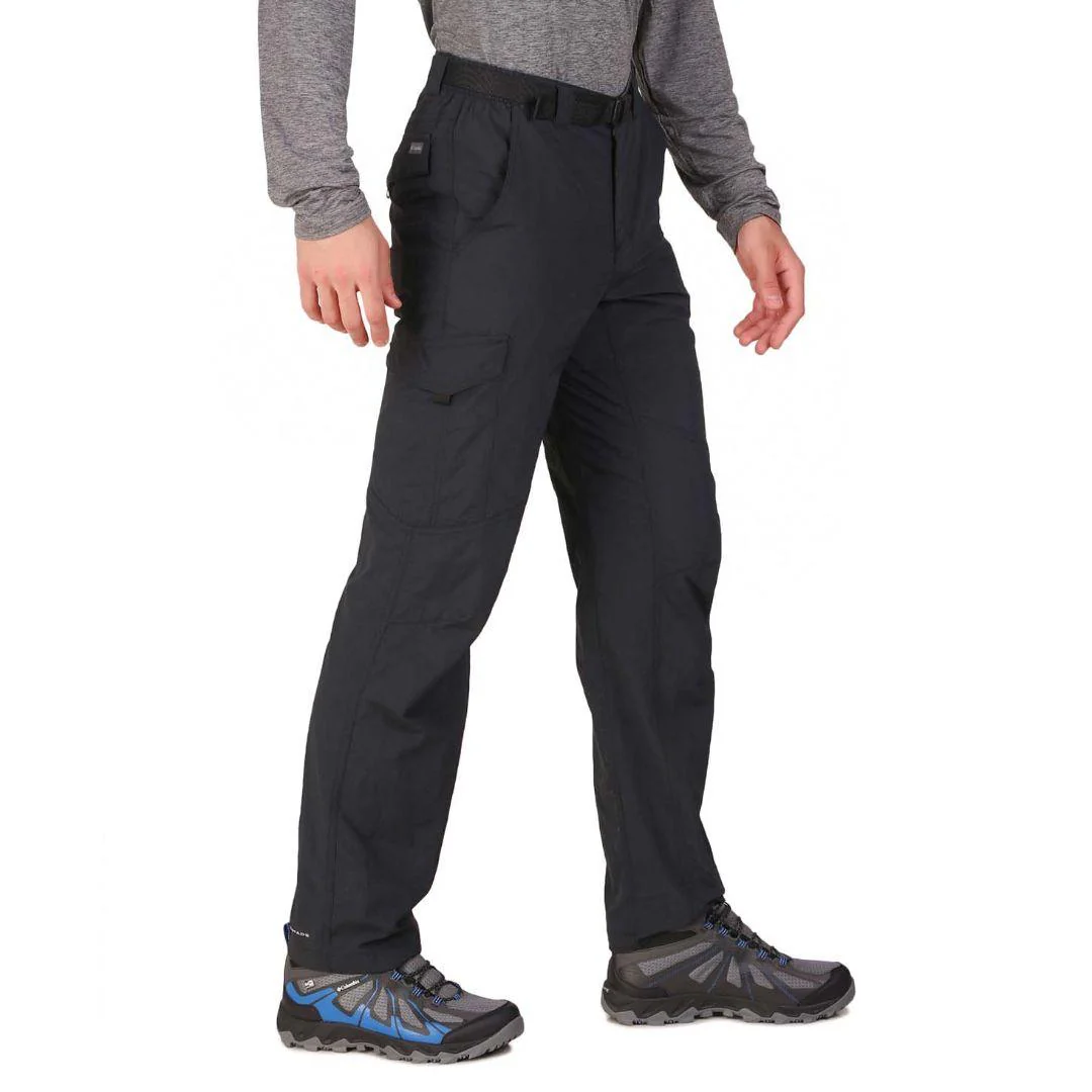 Columbia Men Grey Silver Ridge Cargo Pant (Sun Protection) - Image 4