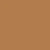 Columbia Men Brown Silver Ridge Convertible Pant (Sun Protection) - Image 3